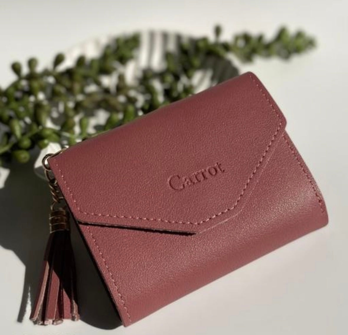 Lucien Women Carrot Wallet